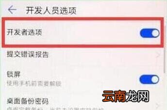 荣耀v20中将开发者选项打开具体操作步骤