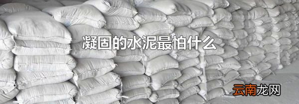 凝固的水泥最怕什么
