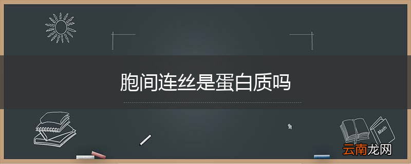 胞间连丝是蛋白质吗