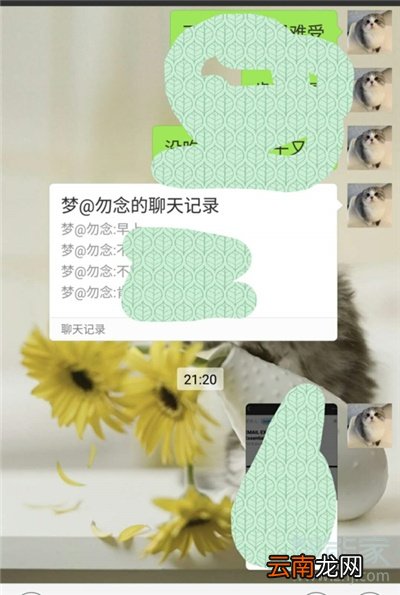如何分享微信聊天记录