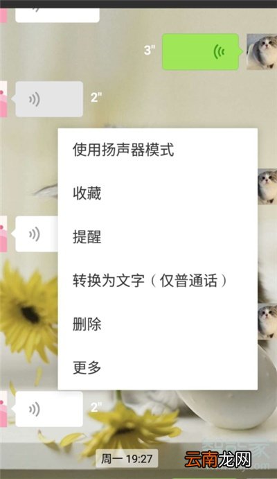 如何分享微信聊天记录