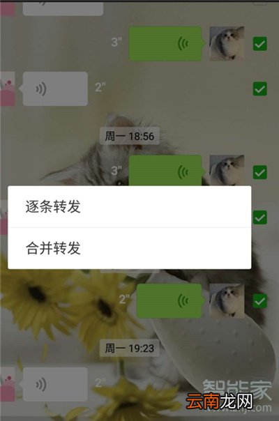 如何分享微信聊天记录