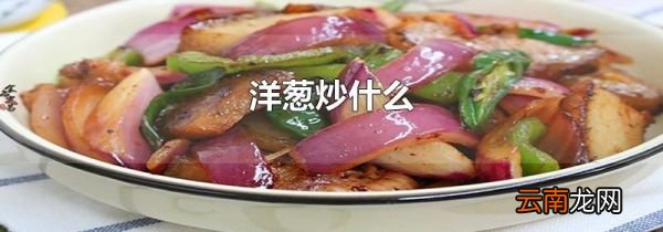 洋葱炒什么
