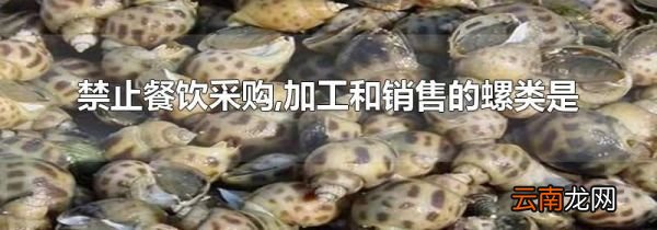禁止餐饮采购,加工和销售的螺类是