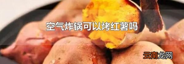 空气炸锅可以烤红薯吗