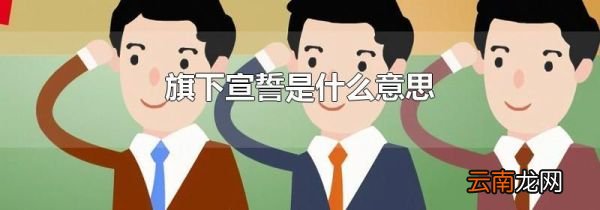 旗下宣誓是什么意思