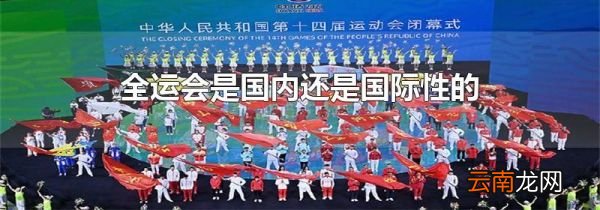 全运会是国内还是国际性的
