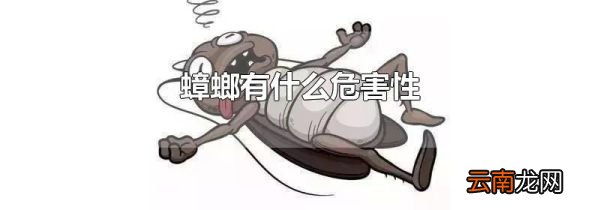 蟑螂有什么危害性