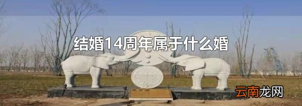 结婚14周年属于什么婚