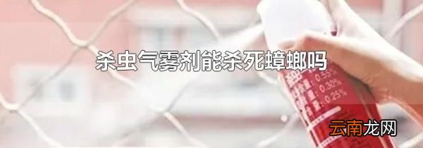 杀虫气雾剂能杀死蟑螂吗