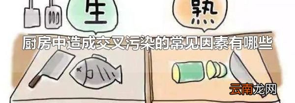 厨房中造成交叉污染的常见因素有哪些