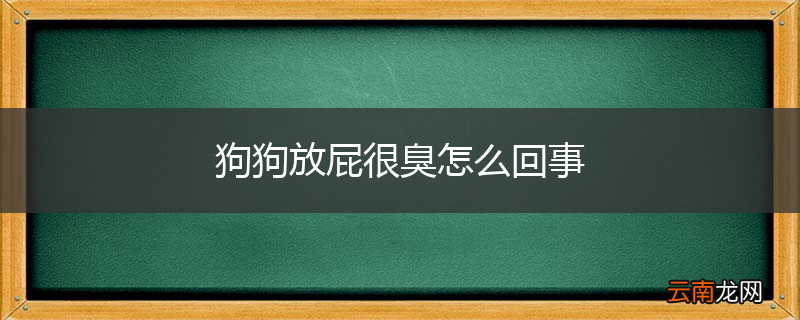 狗狗放屁很臭怎么回事