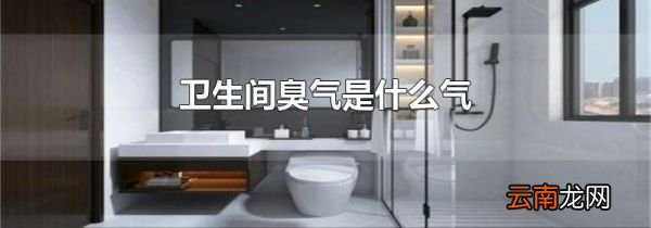 卫生间臭气是什么气