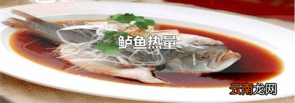 鲈鱼热量