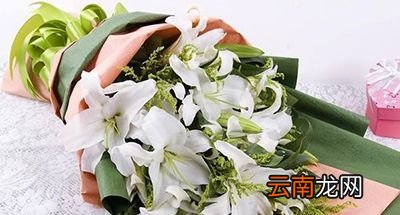 母亲节该送什么花？看完这些不再愁怎么选花了