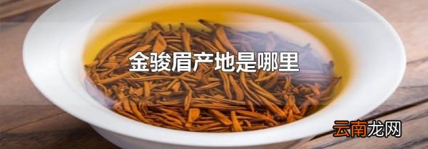 金骏眉产地是哪里