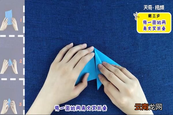热带鱼的折法