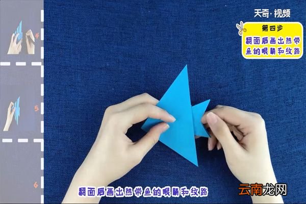 热带鱼的折法