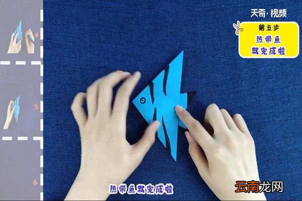 热带鱼的折法