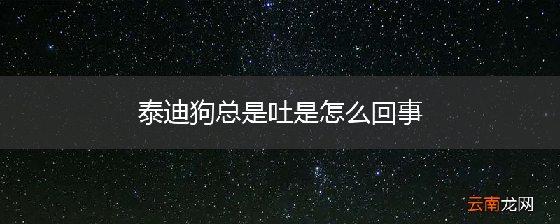 泰迪狗总是吐是怎么回事