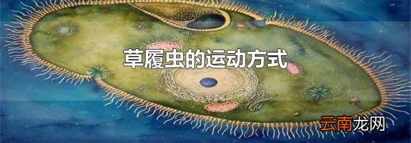 草履虫的运动方式