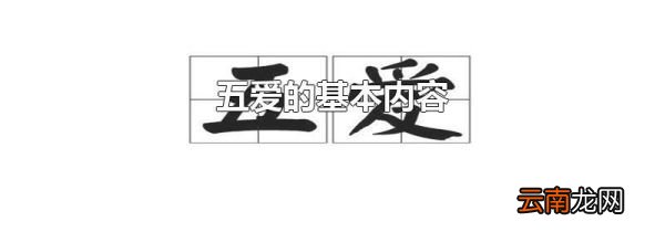 五爱的基本内容