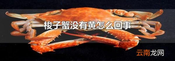 梭子蟹没有黄怎么回事
