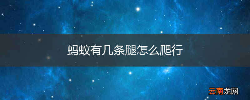 蚂蚁有几条腿怎么爬行