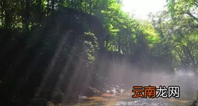 处暑吃鸭，送病各家！这里有一份处暑指南待你查收！