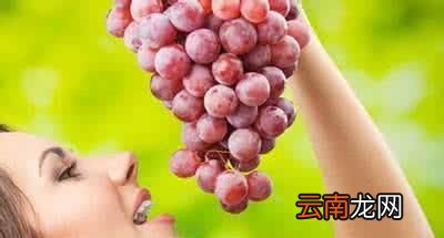 收养阴气，固本培元才是处暑养生正确姿势！