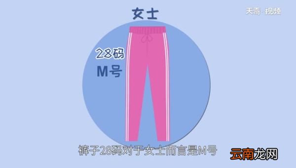 裤子28码是m码还是l码 28码的裤子有多长