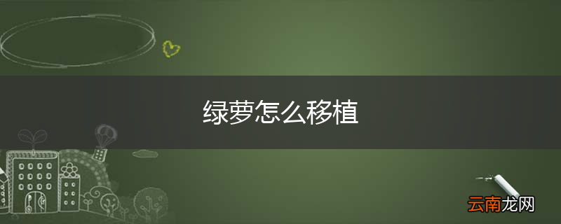 绿萝怎么移植