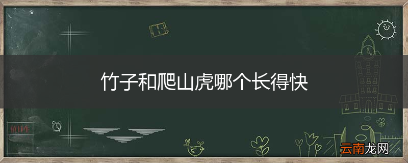 竹子和爬山虎哪个长得快