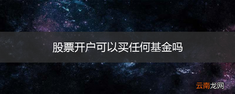 股票开户可以买任何基金吗
