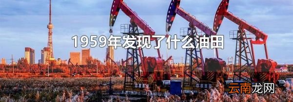 1959年发现了什么油田
