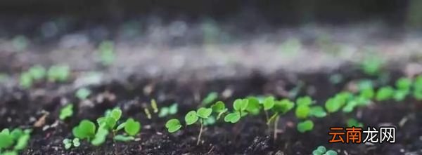 大暑时节至,各地大暑习俗知多少!