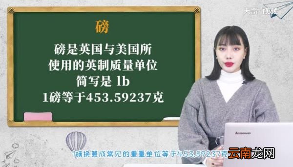 1磅等于多少克 一磅是多少