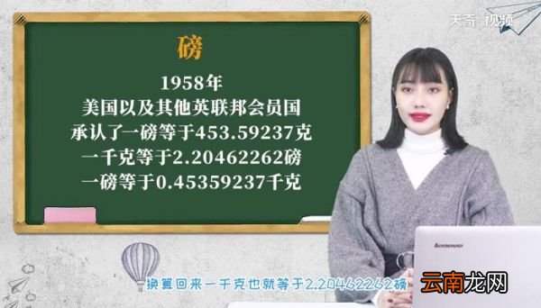 1磅等于多少克 一磅是多少