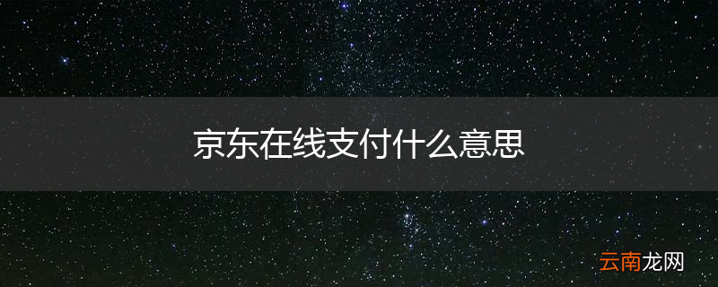 京东在线支付什么意思