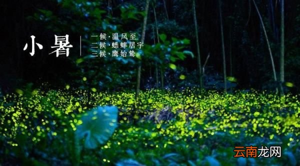 小暑聊养生：夏进温补，吃苦退暑