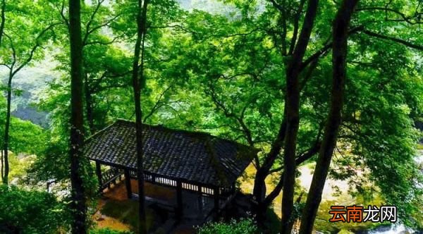 小暑聊养生：夏进温补，吃苦退暑