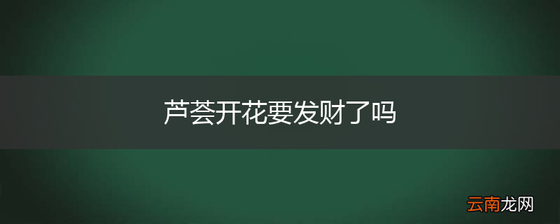 芦荟开花要发财了吗