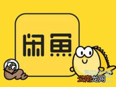 闲鱼申请退款卖家不处理怎么办