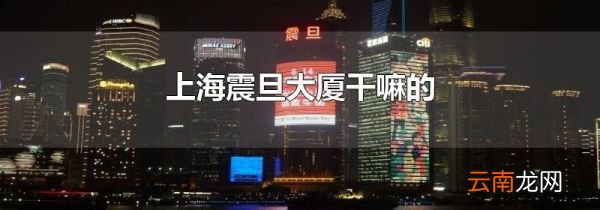 上海震旦大厦干嘛的