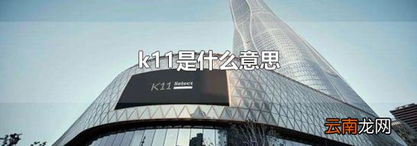 k11是什么意思