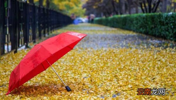 形容秋雨绵绵,天气转凉的诗词形容秋雨绵绵的诗句有哪些