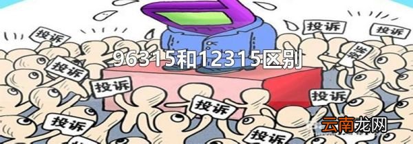 96315和12315区别