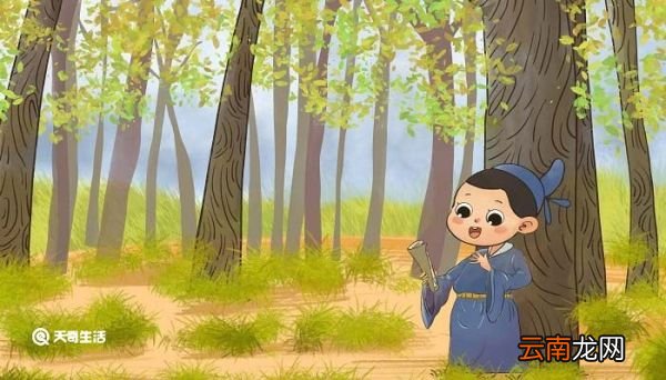 试看书林隐处几多俊逸儒流的翻译 试看书林隐处原文翻译