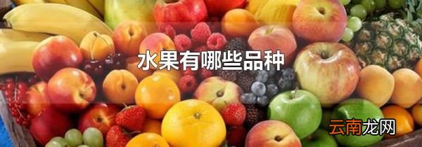水果有哪些品种