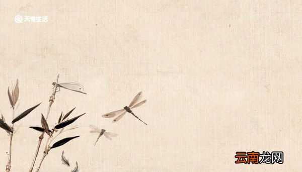 夏日赏荷文言文翻译 夏日赏荷文言文
